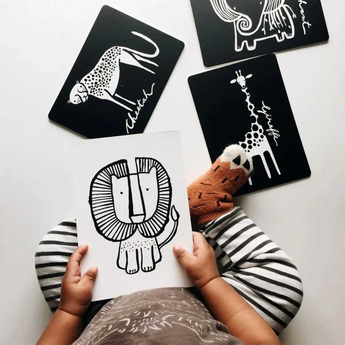 6 Cartes imagier noir et blanc | Animaux de la savane – Image 5